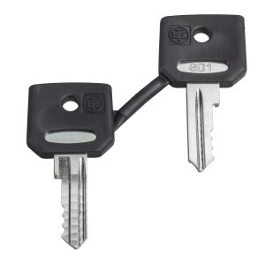 Komplet 2 ključa 421E